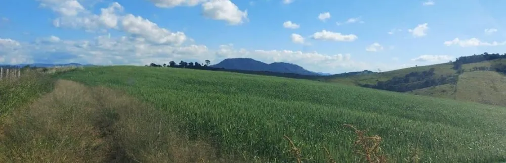 Sítio, 1 quarto, 39 hectares - Foto 12