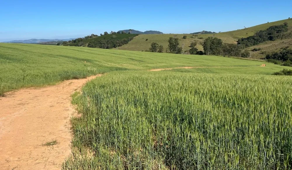 Sítio, 1 quarto, 39 hectares - Foto 4