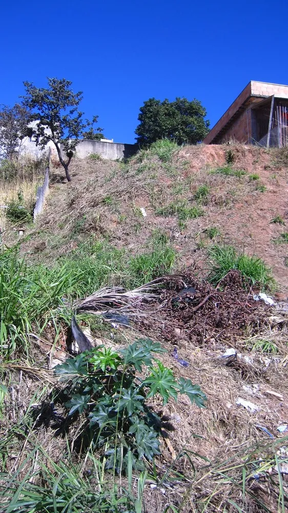 Terreno, 420 m² - Foto 4