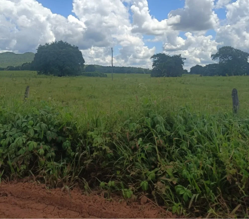 Fazenda, 4222 hectares - Foto 1