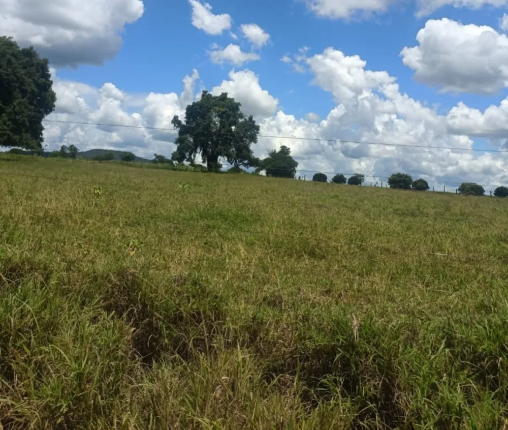 Fazenda, 4222 hectares - Foto 3