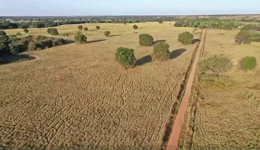 Fazenda, 4222 hectares - Foto 7