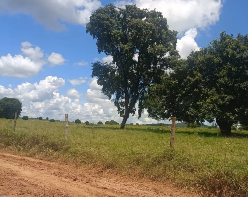 Fazenda, 4222 hectares - Foto 4