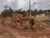 Terreno, 200 m² - Foto 1
