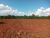 Terreno, 40 hectares - Foto 2