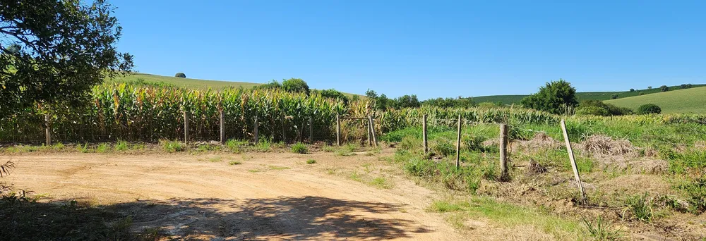 Fazenda, 162 hectares - Foto 1