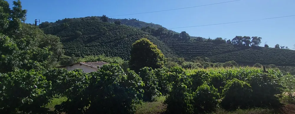 Fazenda, 162 hectares - Foto 14