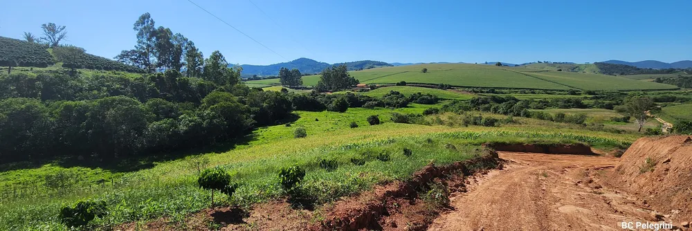 Fazenda, 162 hectares - Foto 6