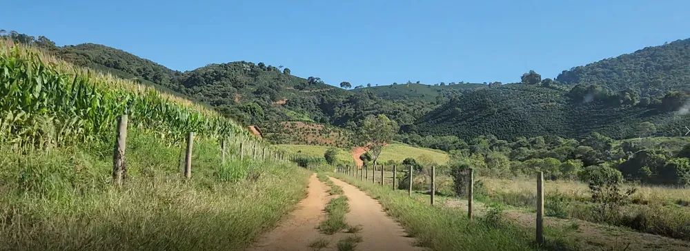 Fazenda, 162 hectares - Foto 9