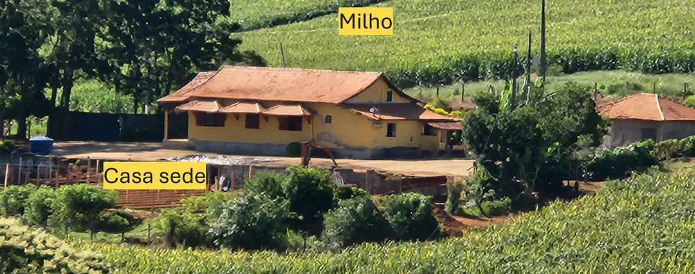 Fazenda, 162 hectares - Foto 19