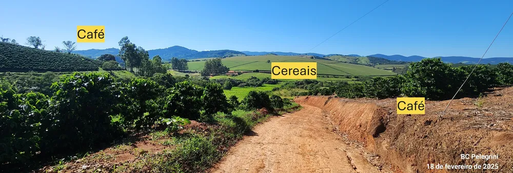 Fazenda, 162 hectares - Foto 7