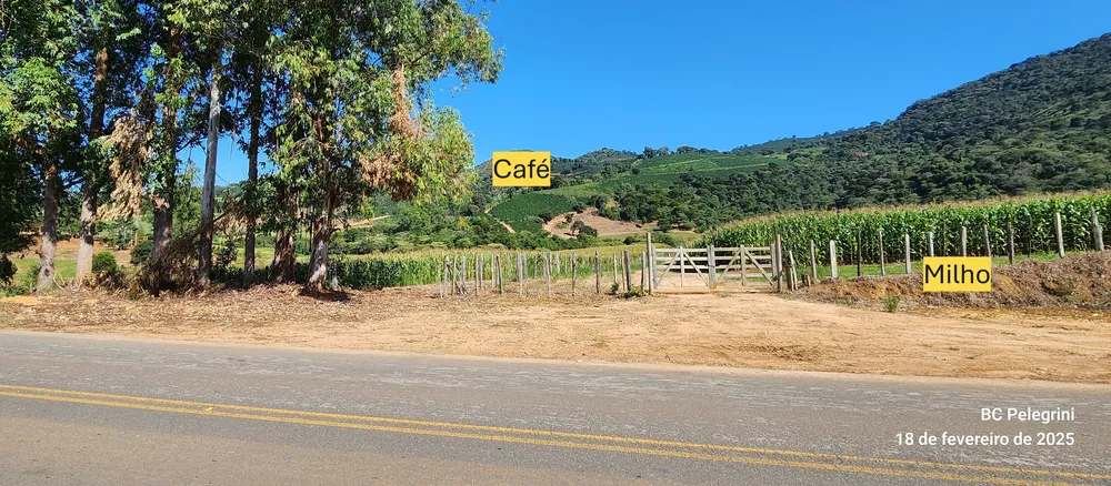 Fazenda, 162 hectares - Foto 10