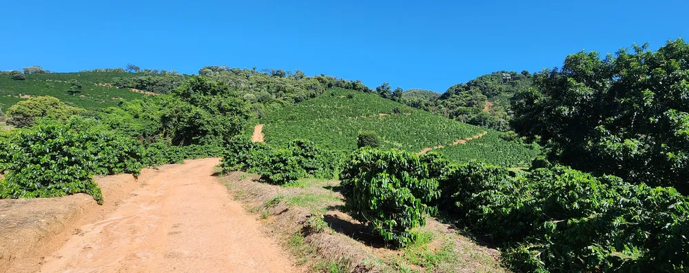Fazenda, 162 hectares - Foto 12