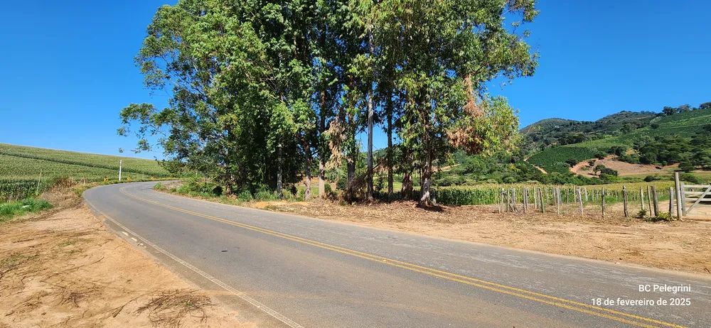 Fazenda, 162 hectares - Foto 7