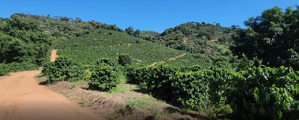 Fazenda, 162 hectares - Foto 1