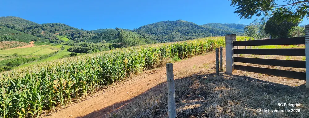 Fazenda, 162 hectares - Foto 4