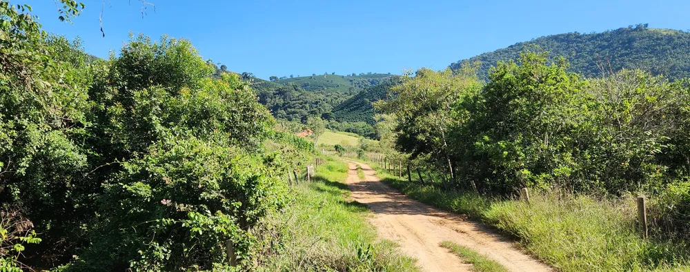 Fazenda, 162 hectares - Foto 4