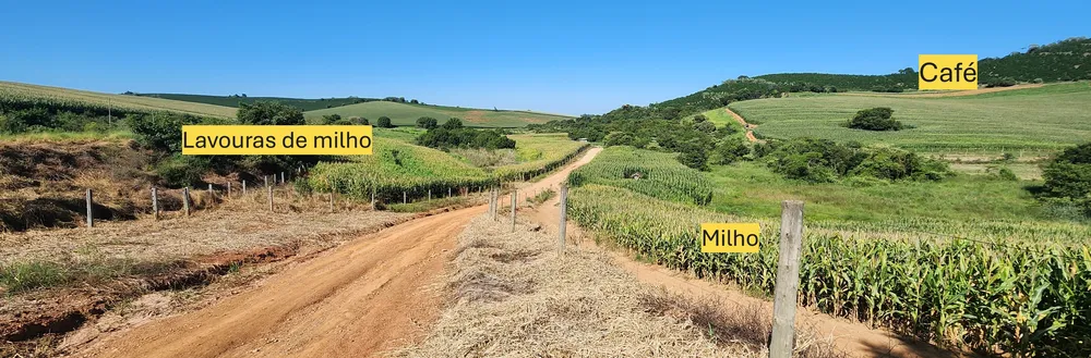 Fazenda, 162 hectares - Foto 3
