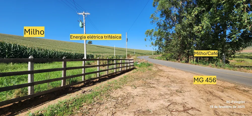Fazenda, 162 hectares - Foto 3