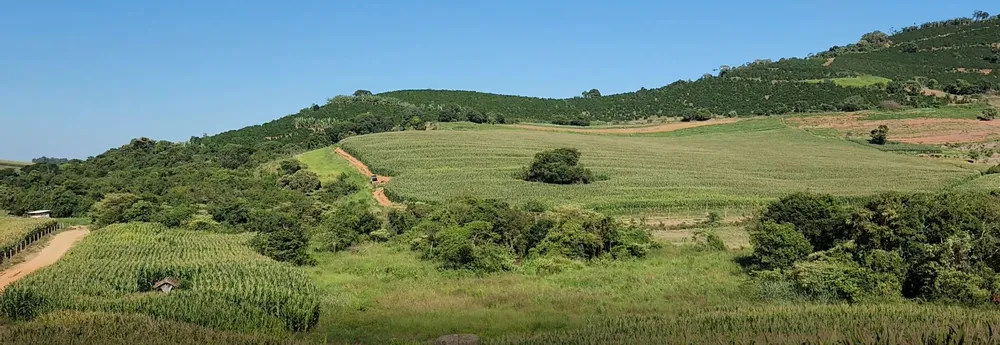 Fazenda, 162 hectares - Foto 8