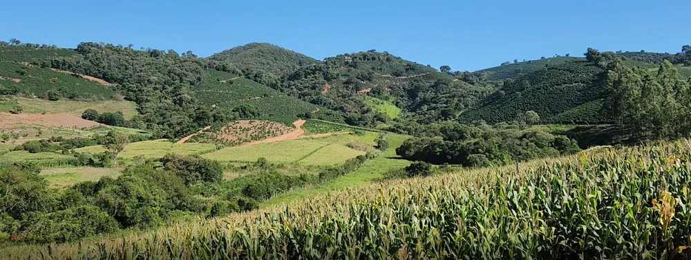 Fazenda, 162 hectares - Foto 10