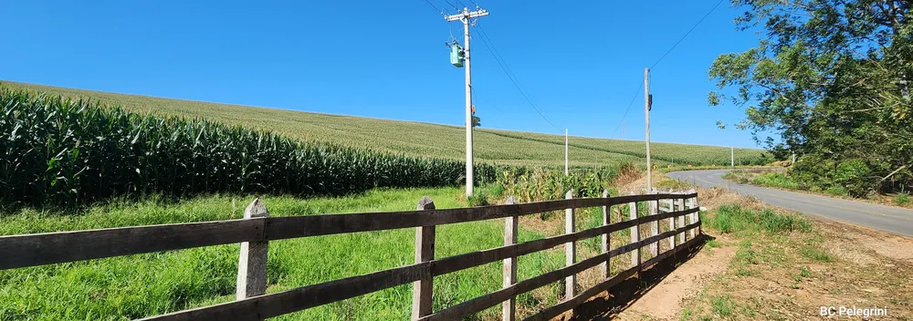 Fazenda, 162 hectares - Foto 2