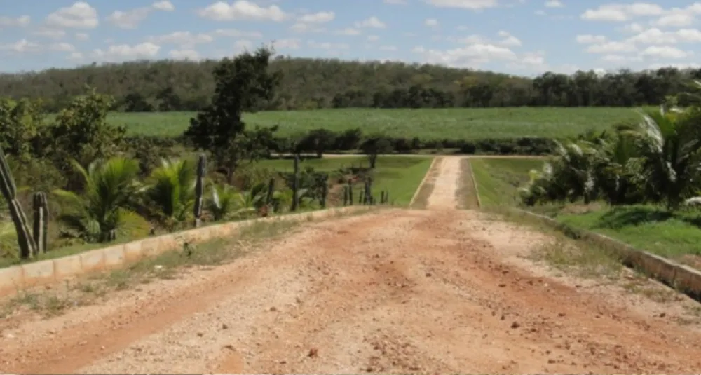 Fazenda, 6 quartos - Foto 4