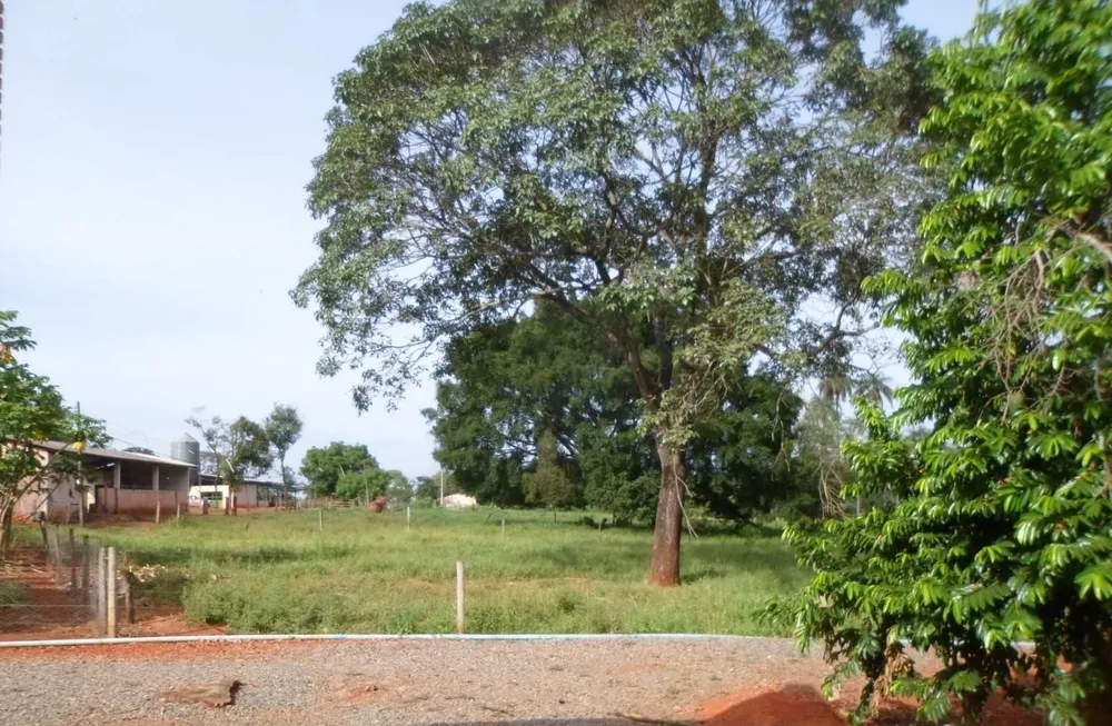 Fazenda, 308 hectares - Foto 7