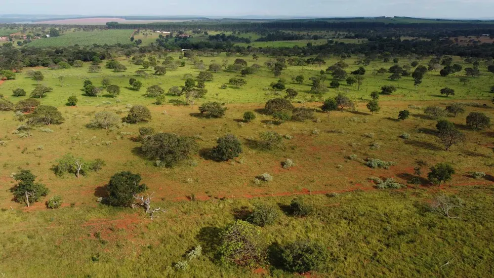 Fazenda, 308 hectares - Foto 4