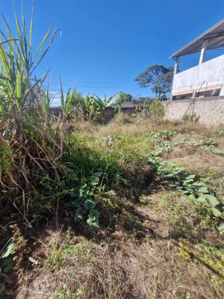 Terreno, 220 m² - Foto 5