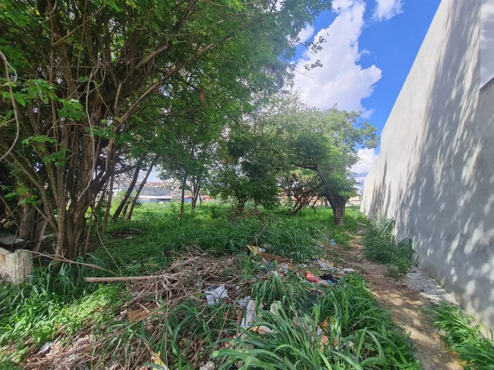 Terreno, 245 m² - Foto 7