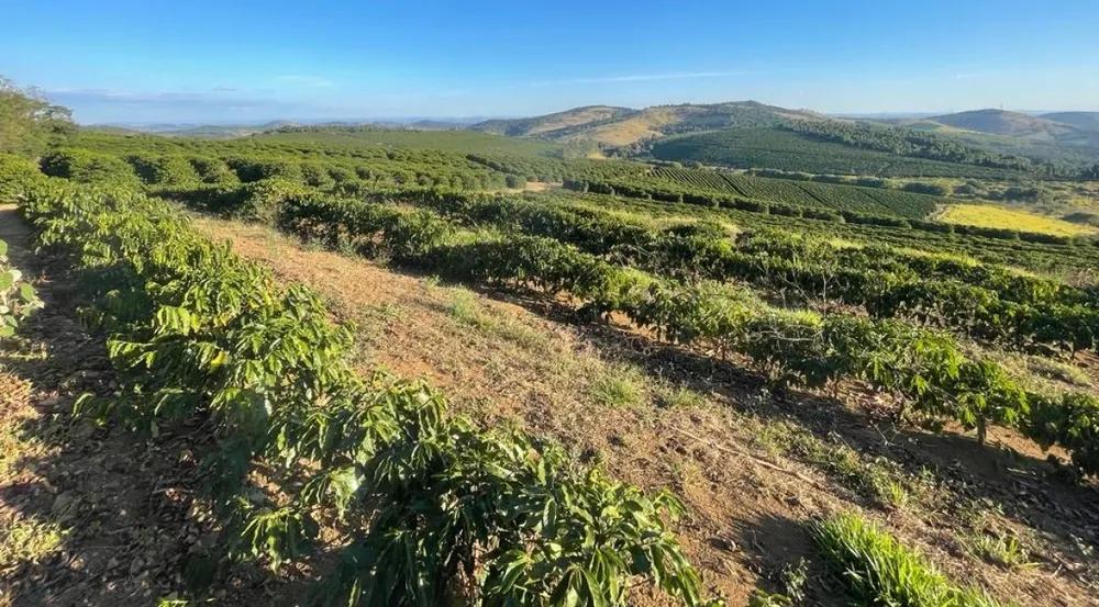 Fazenda, 730 hectares - Foto 10