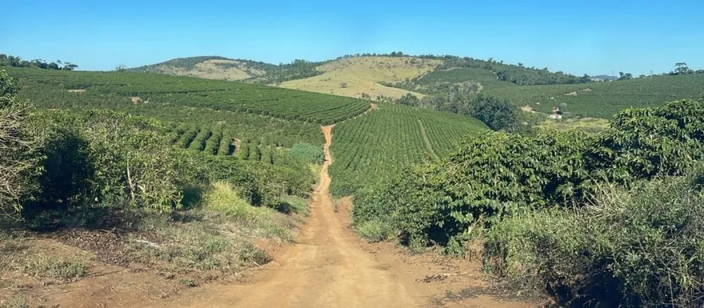 Fazenda, 730 hectares - Foto 8