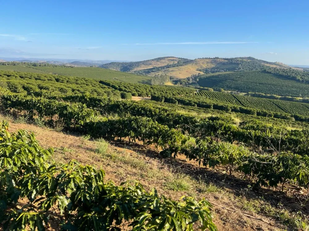 Fazenda, 730 hectares - Foto 9