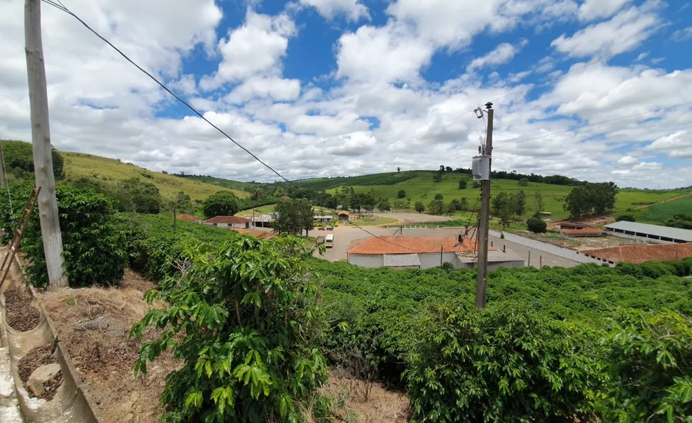 Fazenda, 730 hectares - Foto 2