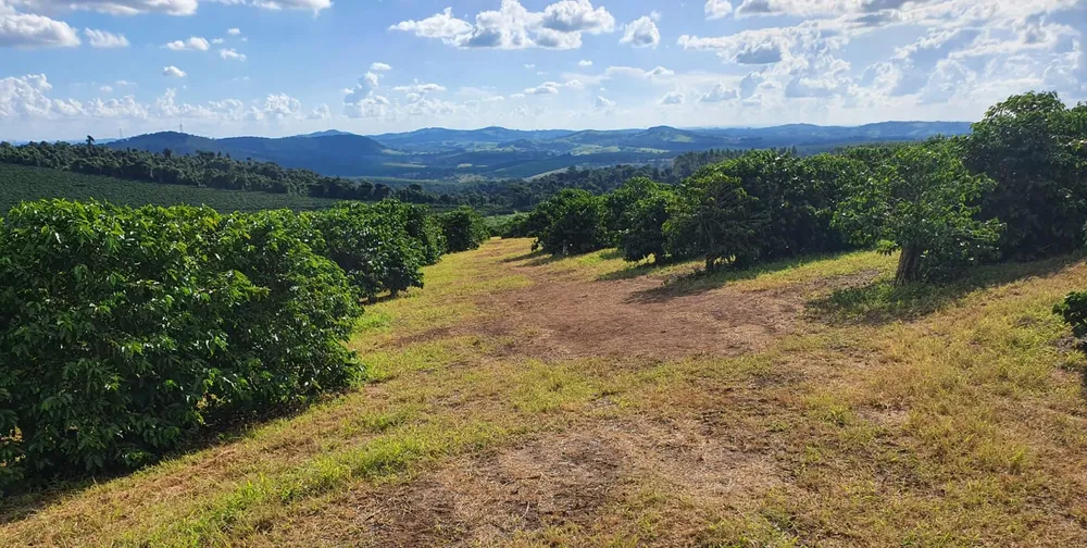 Fazenda, 730 hectares - Foto 7