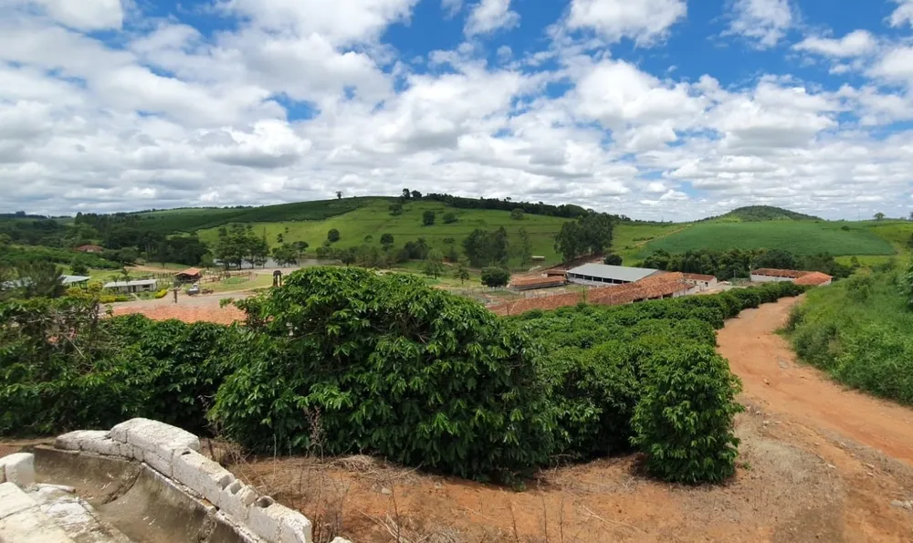 Fazenda, 730 hectares - Foto 11