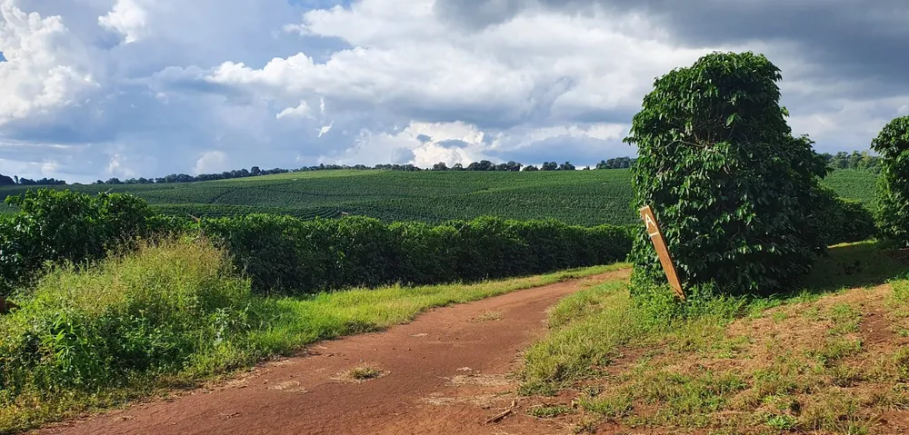 Fazenda, 730 hectares - Foto 3