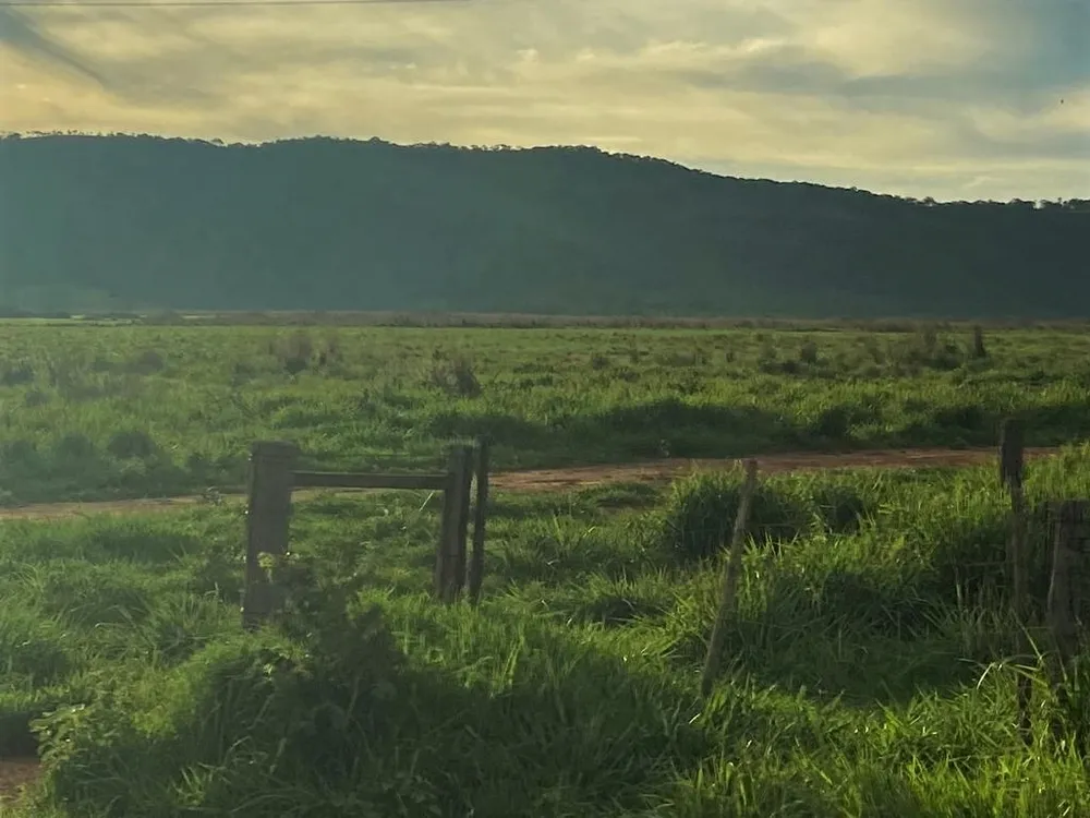 Fazenda, 1050 hectares - Foto 6