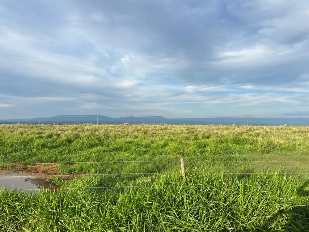 Fazenda, 1050 hectares - Foto 1