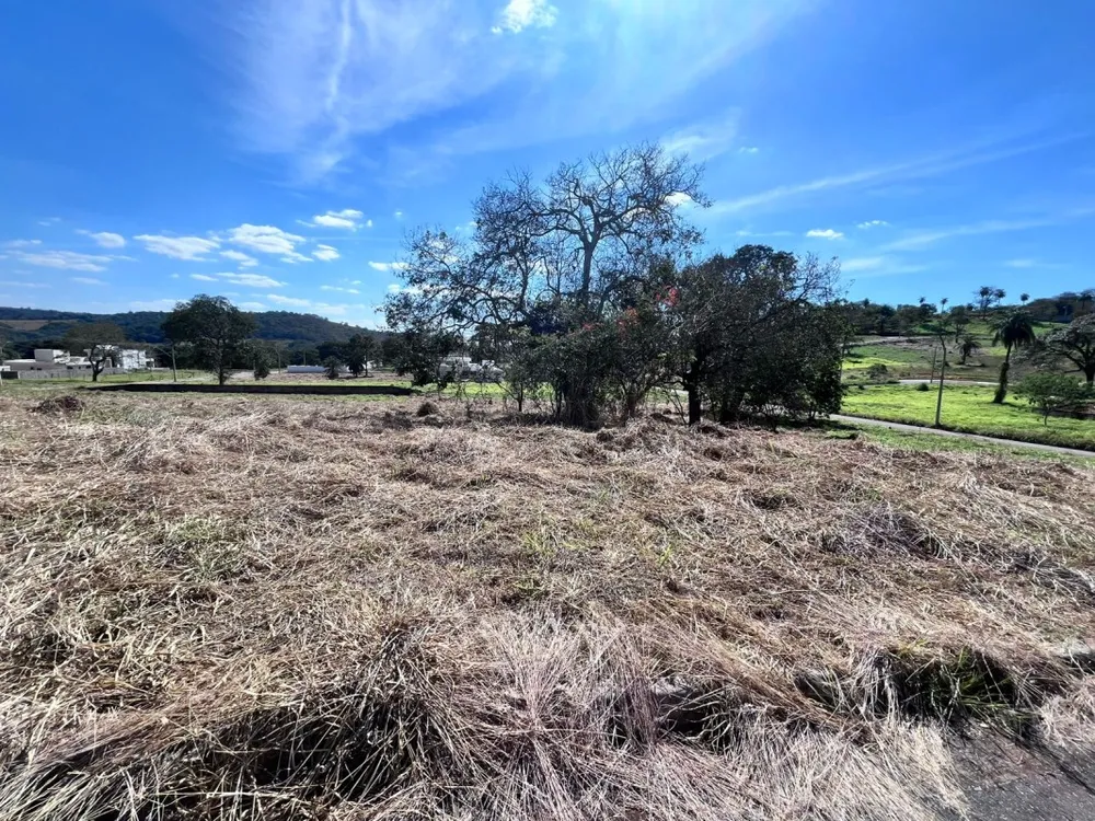 Terreno, 1000 m² - Foto 8