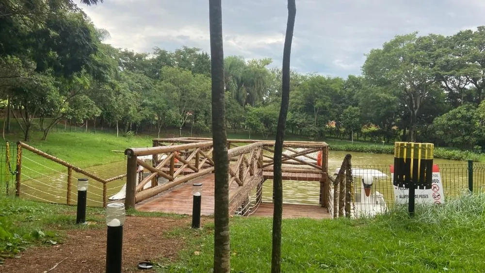 Casa, 4 quartos, 450 m² - Foto 7