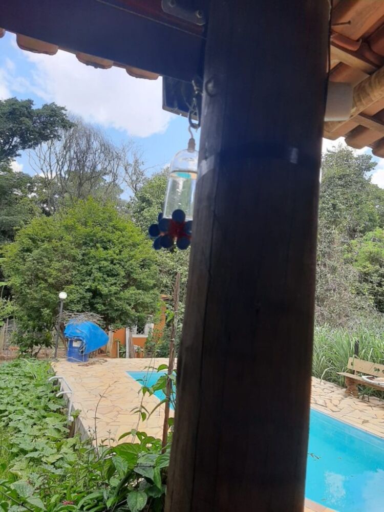 Chácara à venda com 3 quartos, 1000m² - Foto 25
