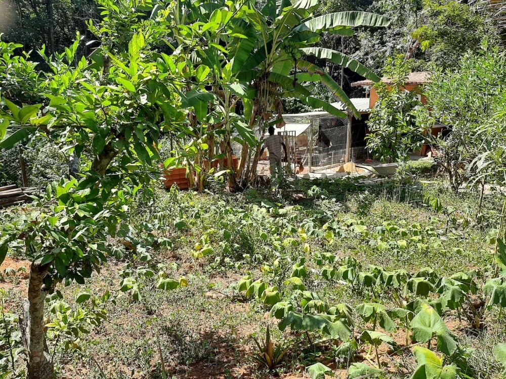 Chácara à venda com 3 quartos, 1000m² - Foto 20