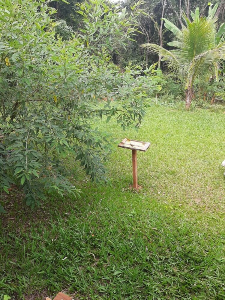 Chácara à venda com 3 quartos, 1000m² - Foto 17