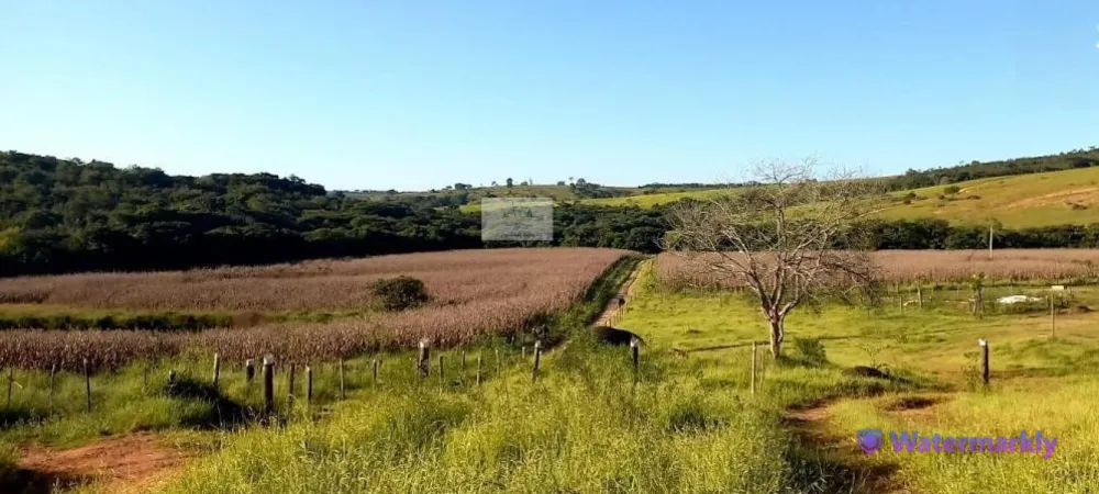 Fazenda, 437 hectares - Foto 1