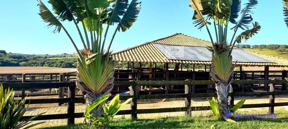 Fazenda, 437 hectares - Foto 14