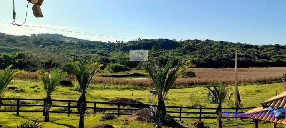 Fazenda, 437 hectares - Foto 5