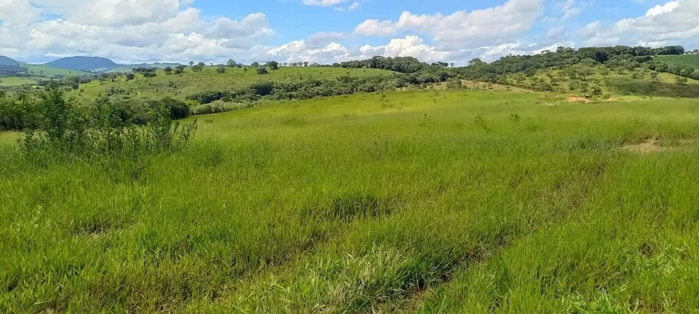 Fazenda, 437 hectares - Foto 8