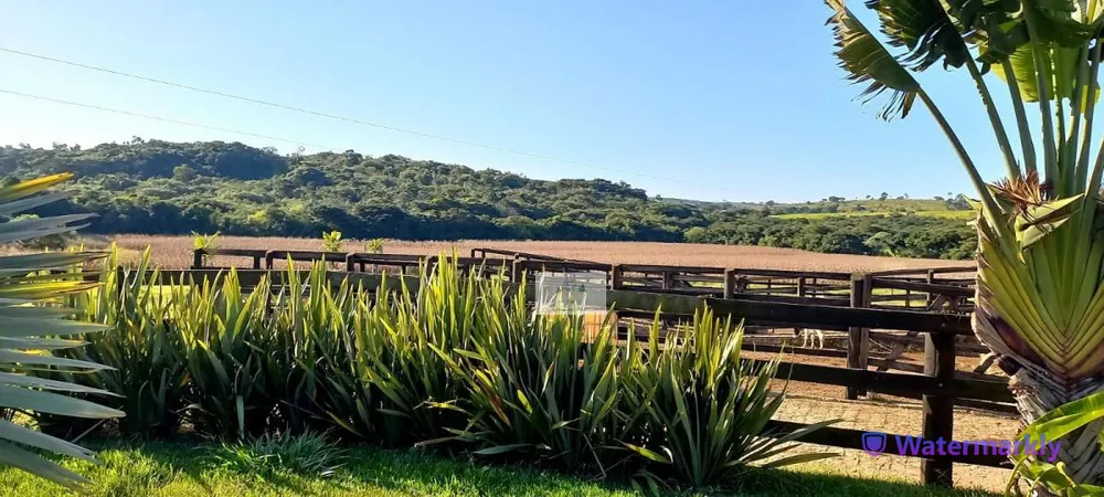 Fazenda, 437 hectares - Foto 15